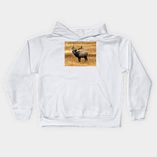 Bugling Bull Elk Photo Kids Hoodie